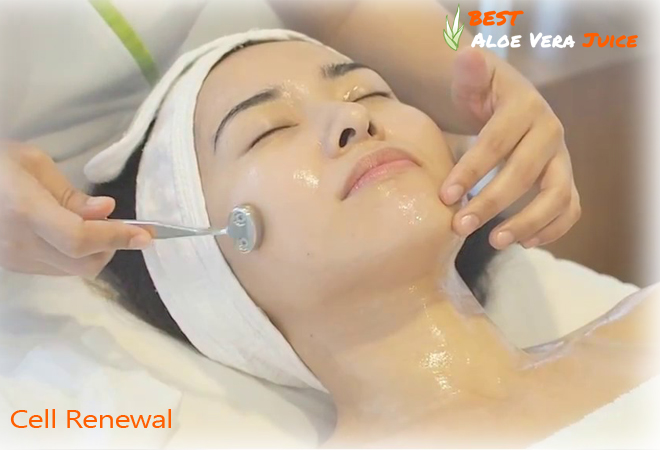 Aloe Vera Gel Help to Cell Renewal