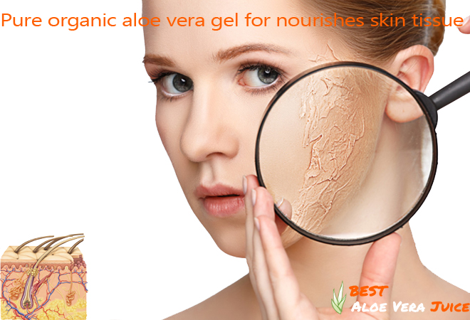 Pure Organic Aloe Vera Gel for Nourishes Skin Tissue