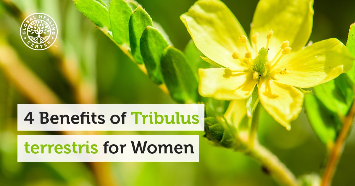 4 Benefits of Tribulus terrestris for Women