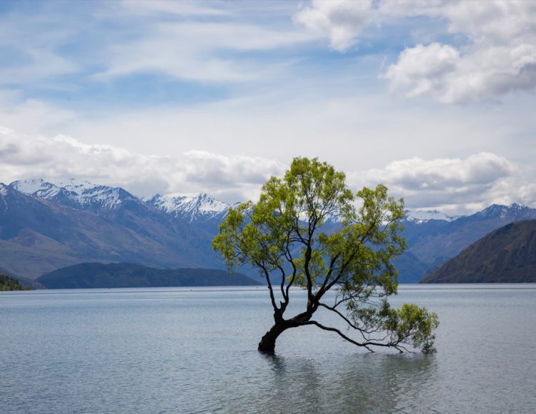 Positive Living Positive Living