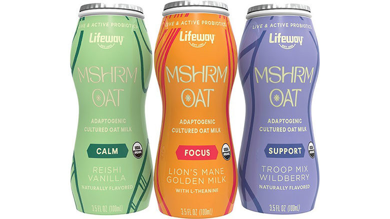 Lifeway Foods Adaptogenic Functional Mushroom Beverages
