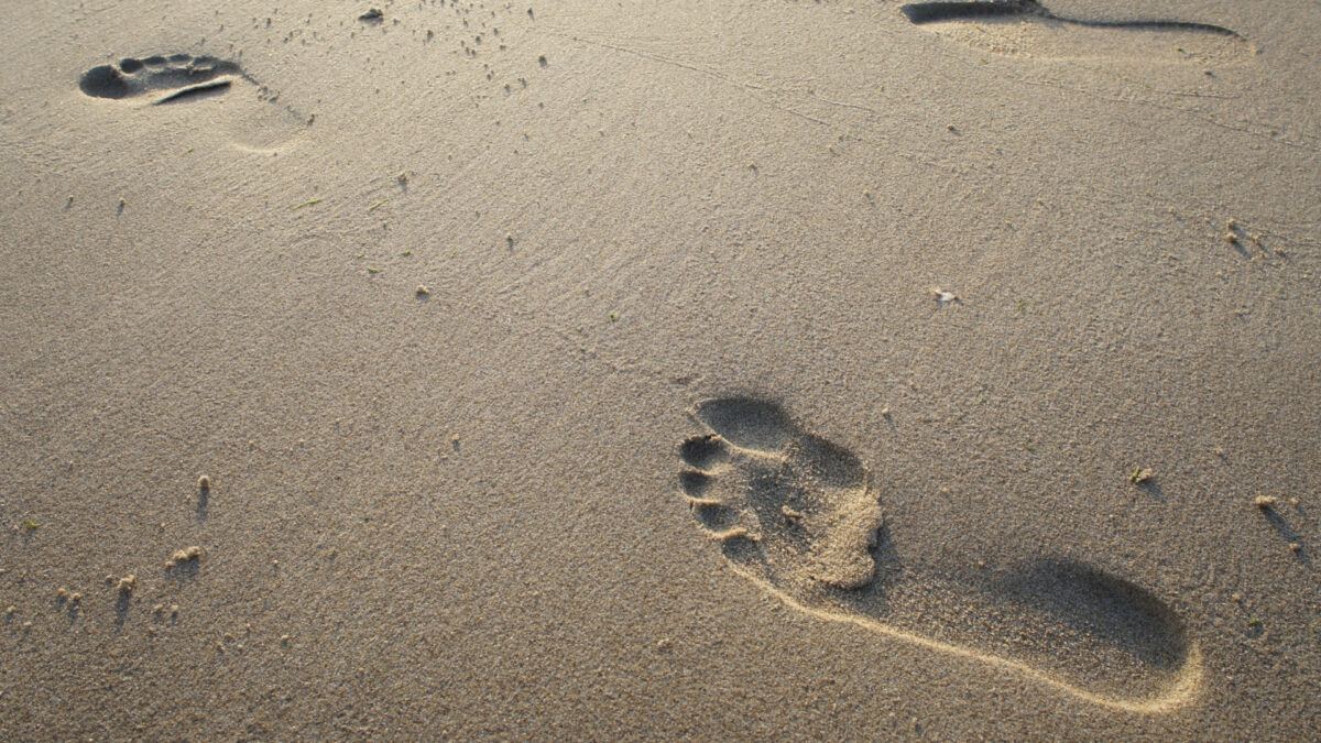 Treating the Root Cause of Toenail Fungus