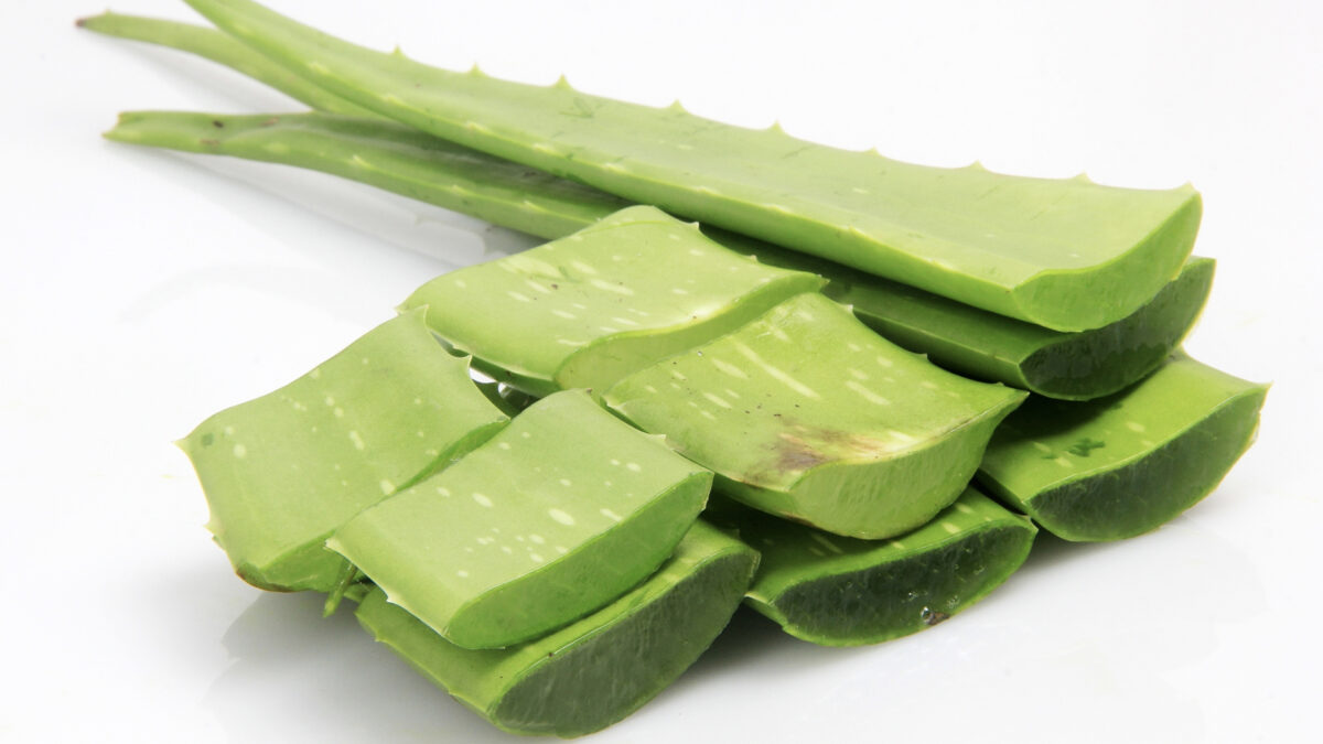 Aloe Is Put to the Test Against Cancer