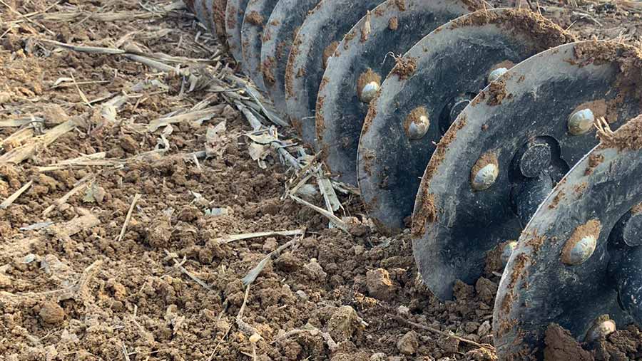 Chain-linked disc harrows offer speedy stubble management