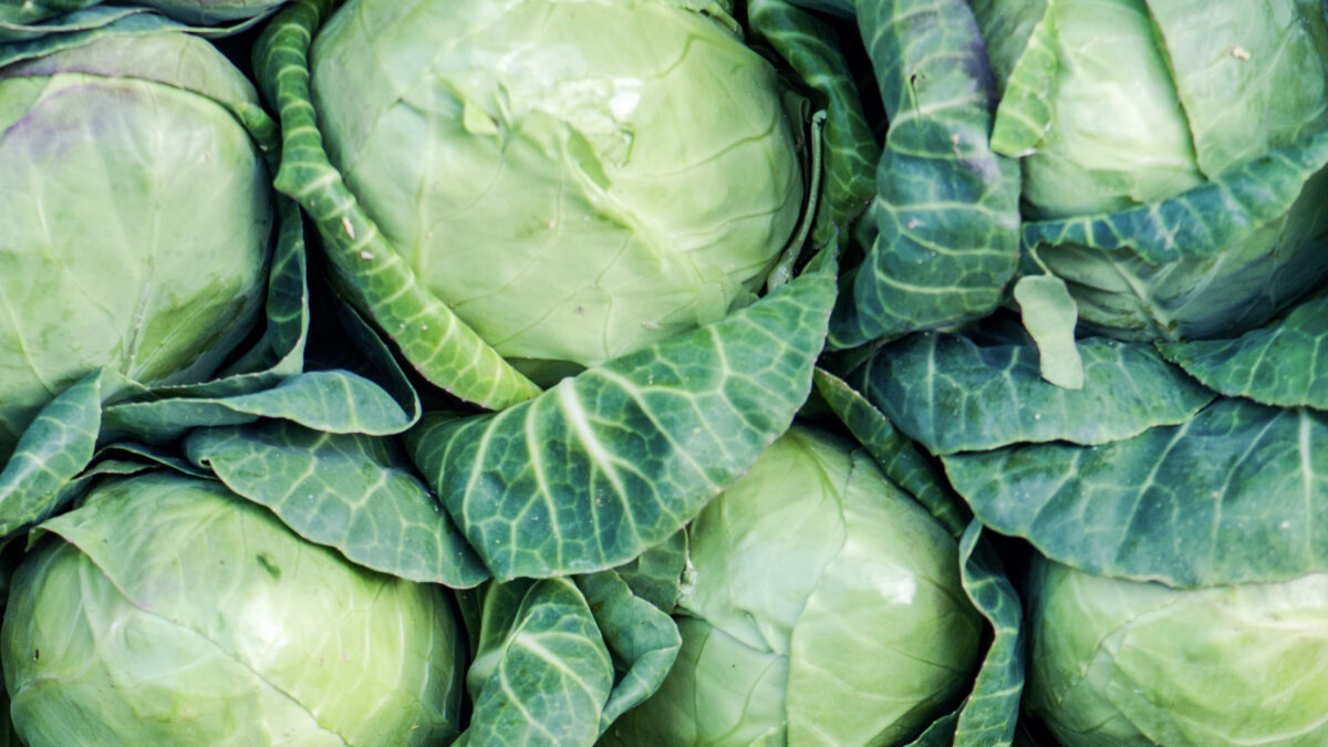 Natural Treatment for Breast Engorgement