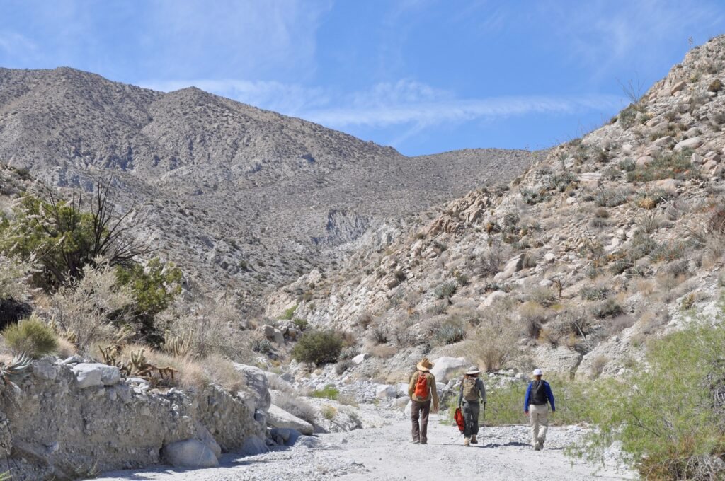 Meet the Researchers ‘Decolonizing Botany’ to Save Our Food Supply