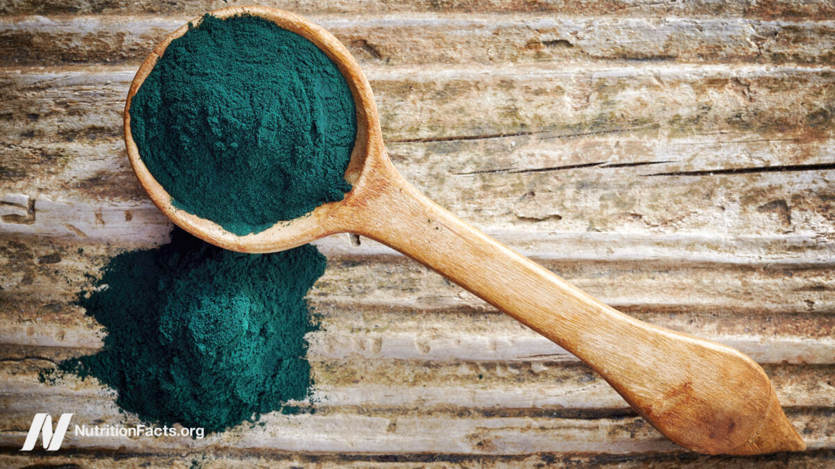 Chlorella Put to the Test