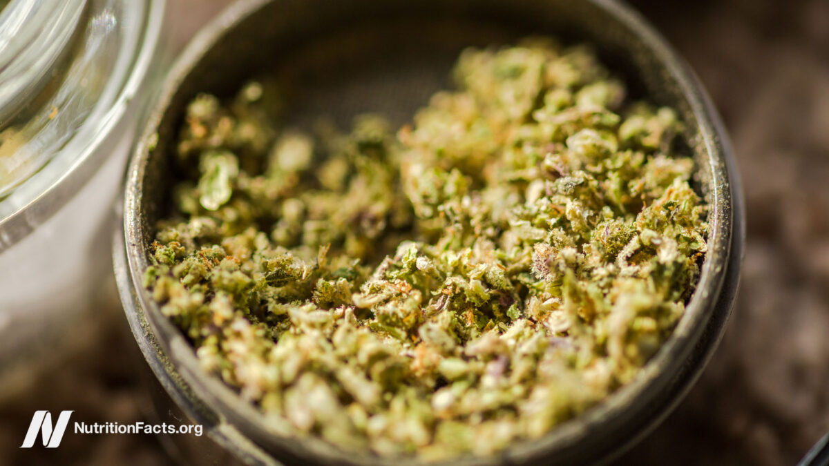 Does Smoking Cannabis Cause Lung Cancer?