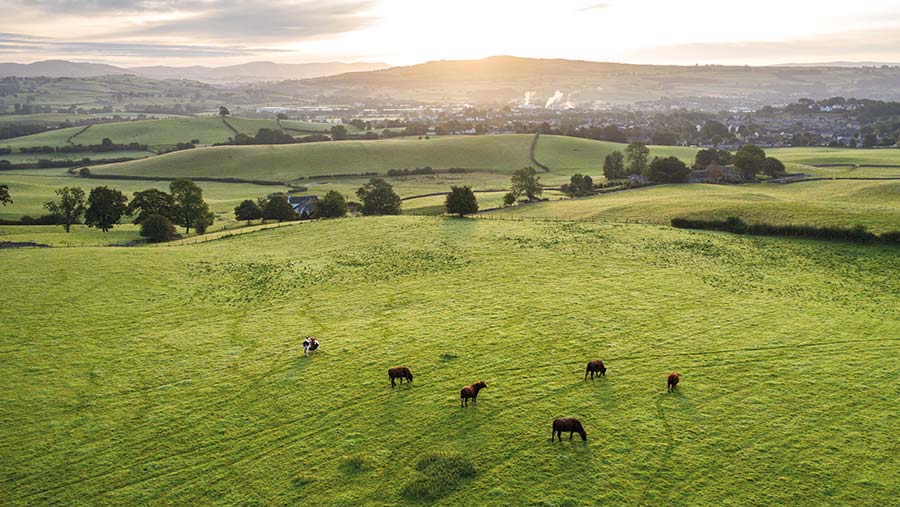 Farmers support environmental measures but wary of SFI – survey