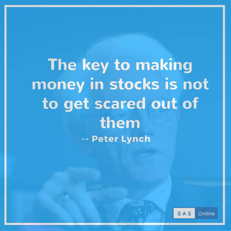Quotes By Peterlynch