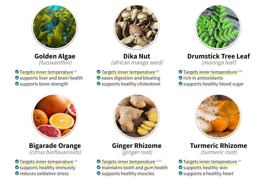 Alpilean Ingredients