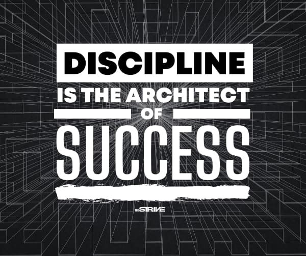 Discipline Quotes for Success