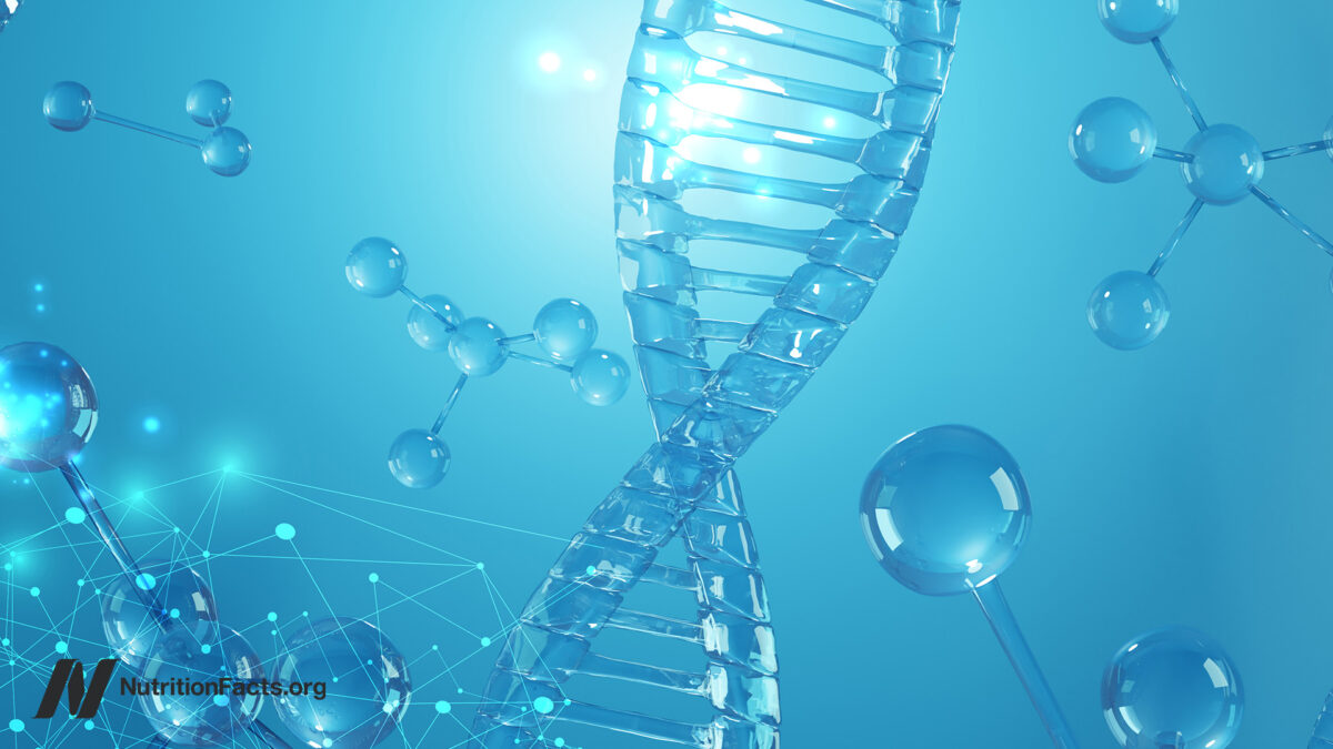 Epigenetics and Obesity 