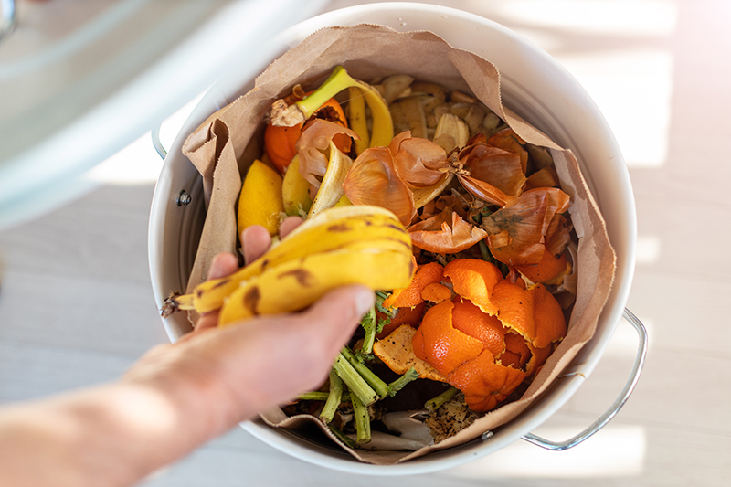 $1.5M USDA NIFA grant will help Purdue researcher identify community-based food waste solutions