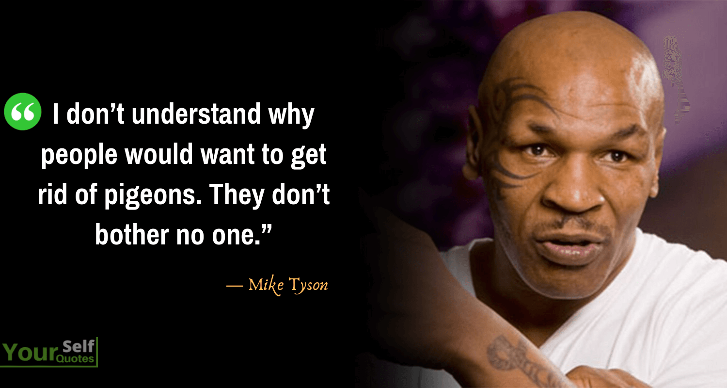 Mike Tyson Quotes Photos