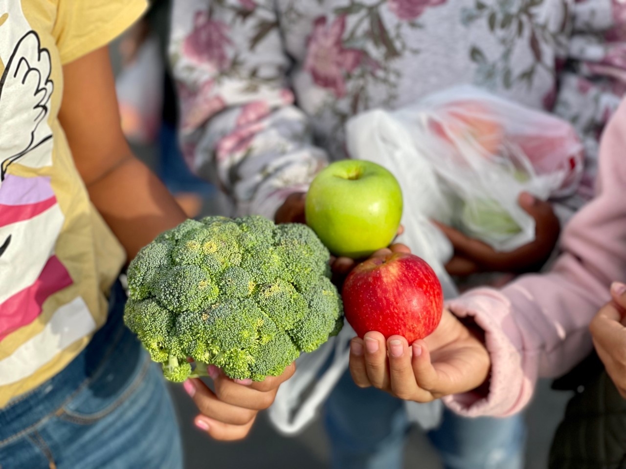 Investments in farm-to-school program stabilize farms, expand climate-friendly farming practices – Food Blog