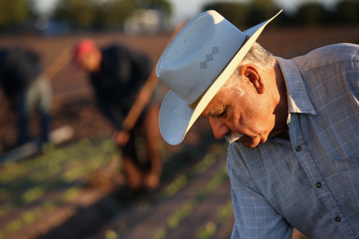 Op-ed: How Another Trump Presidency Could Affect Your Food