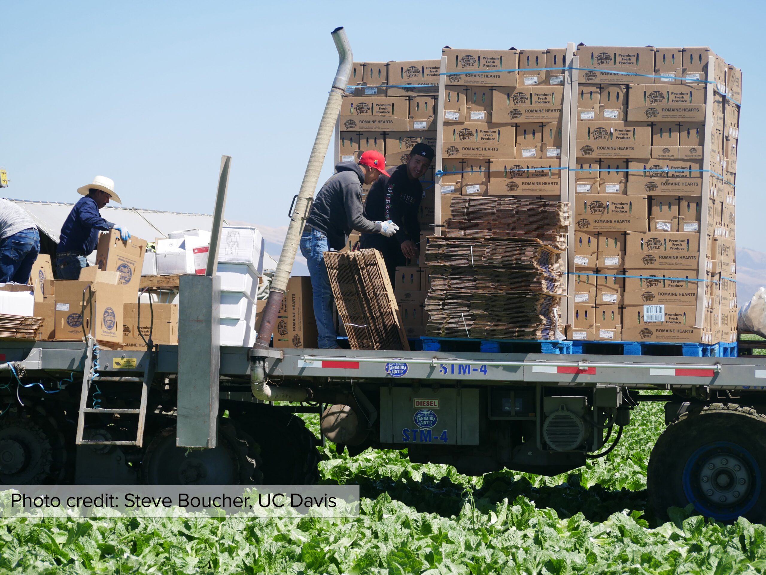 Will importing workers lead to importing crops? – Food Blog