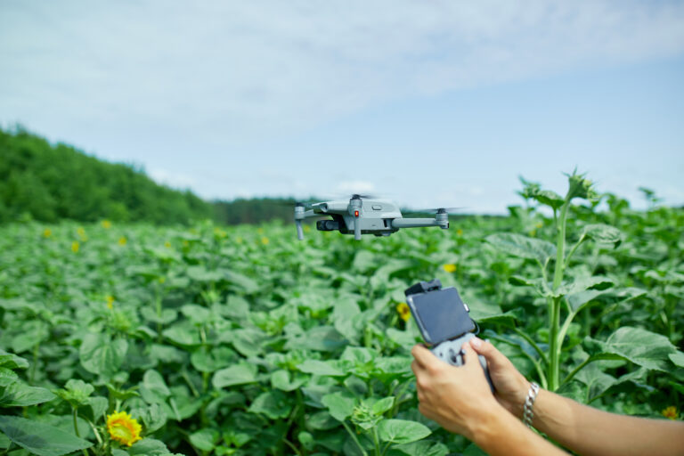 AI and Weed Management: Protecting Yields with Smart Technology
