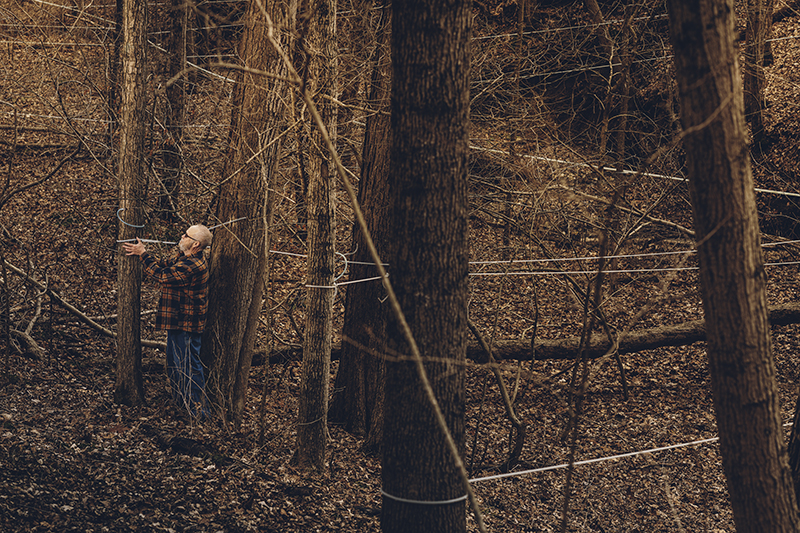 Purdue University, University of Kentucky helping to increase ‘green’ maple syrup production
