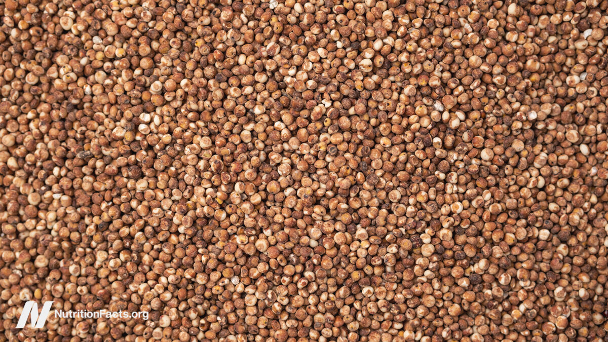 Is Sorghum a Healthy Grain? 