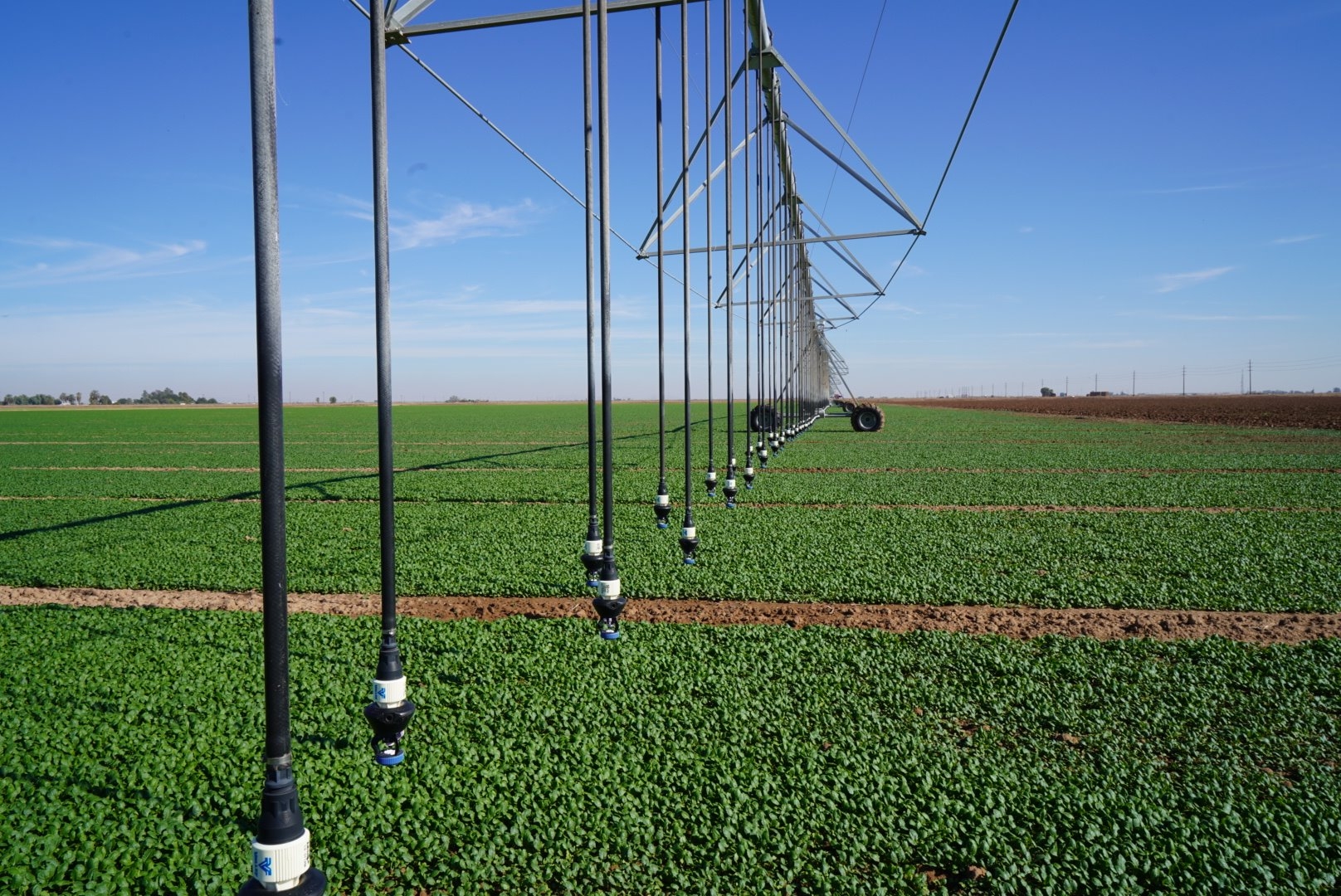 Workshop highlights advances in desert irrigation, tech on Feb. 27 – Food Blog