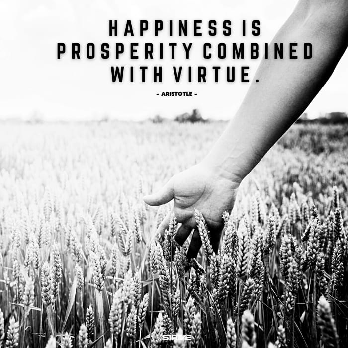 aristotle quote about prosperity