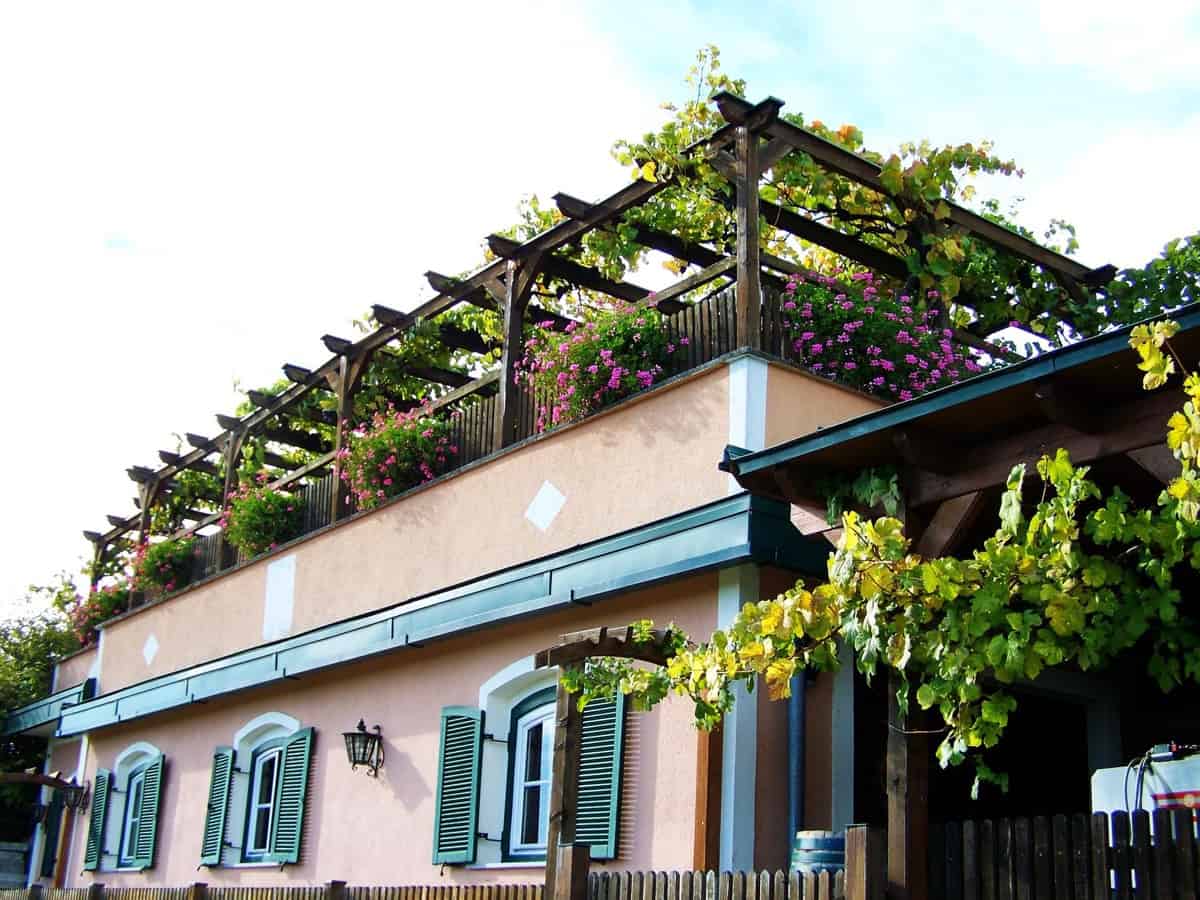 Comprehensive Guide to Terrace Garden Setup Costs in Bangalore