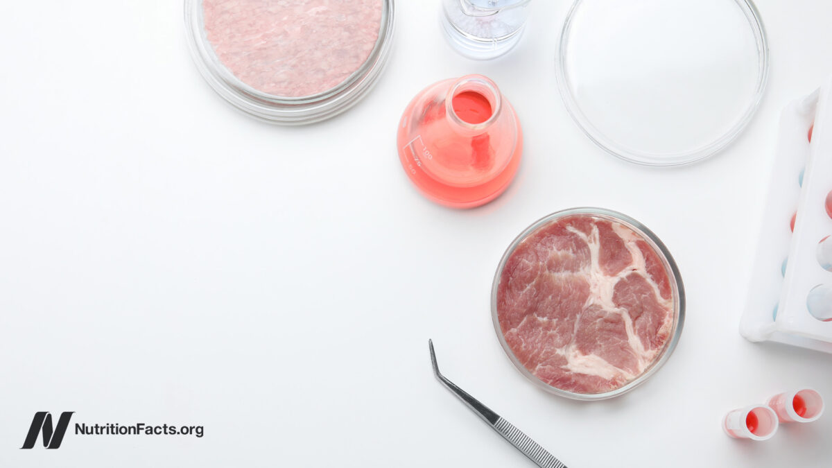 Chemical Safety, Cultivated Meat, and Our Health 