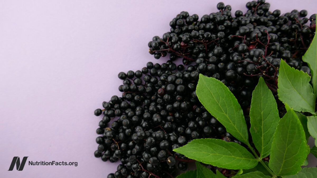 What About Elderberry, Echinacea, and Cranberries for Colds and the Flu? 