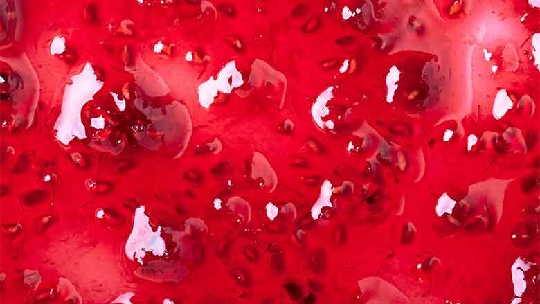 Jungbunzlauer:Taste—Plus Texture