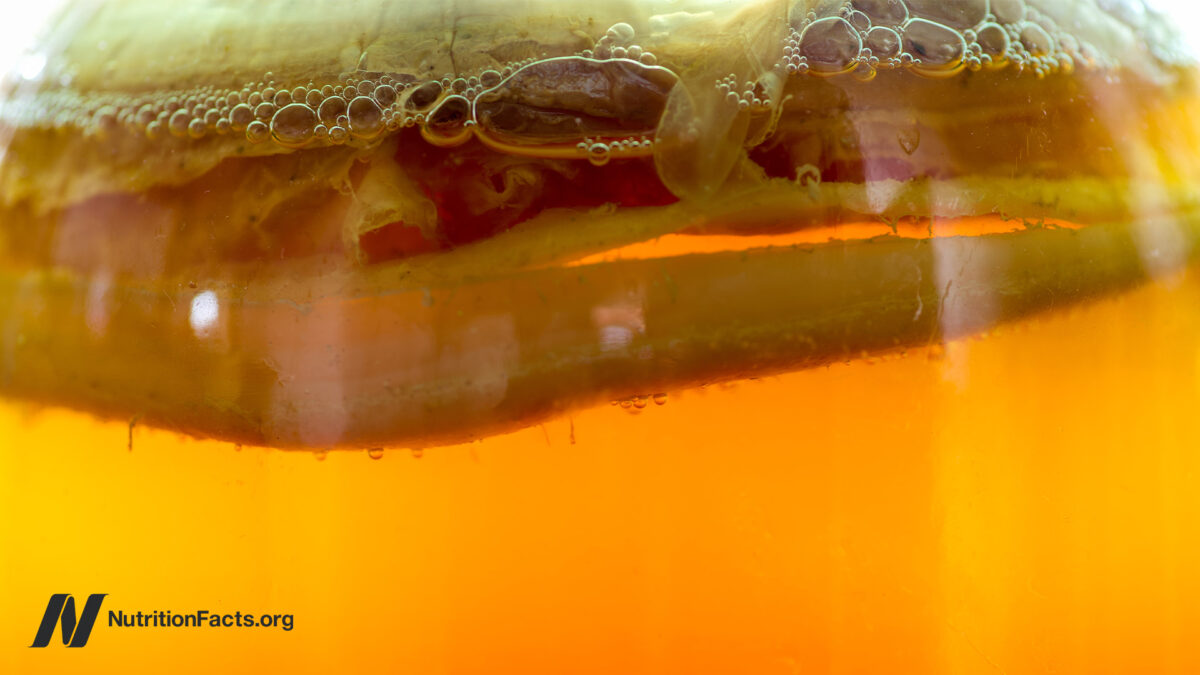 Should We Drink Kombucha 