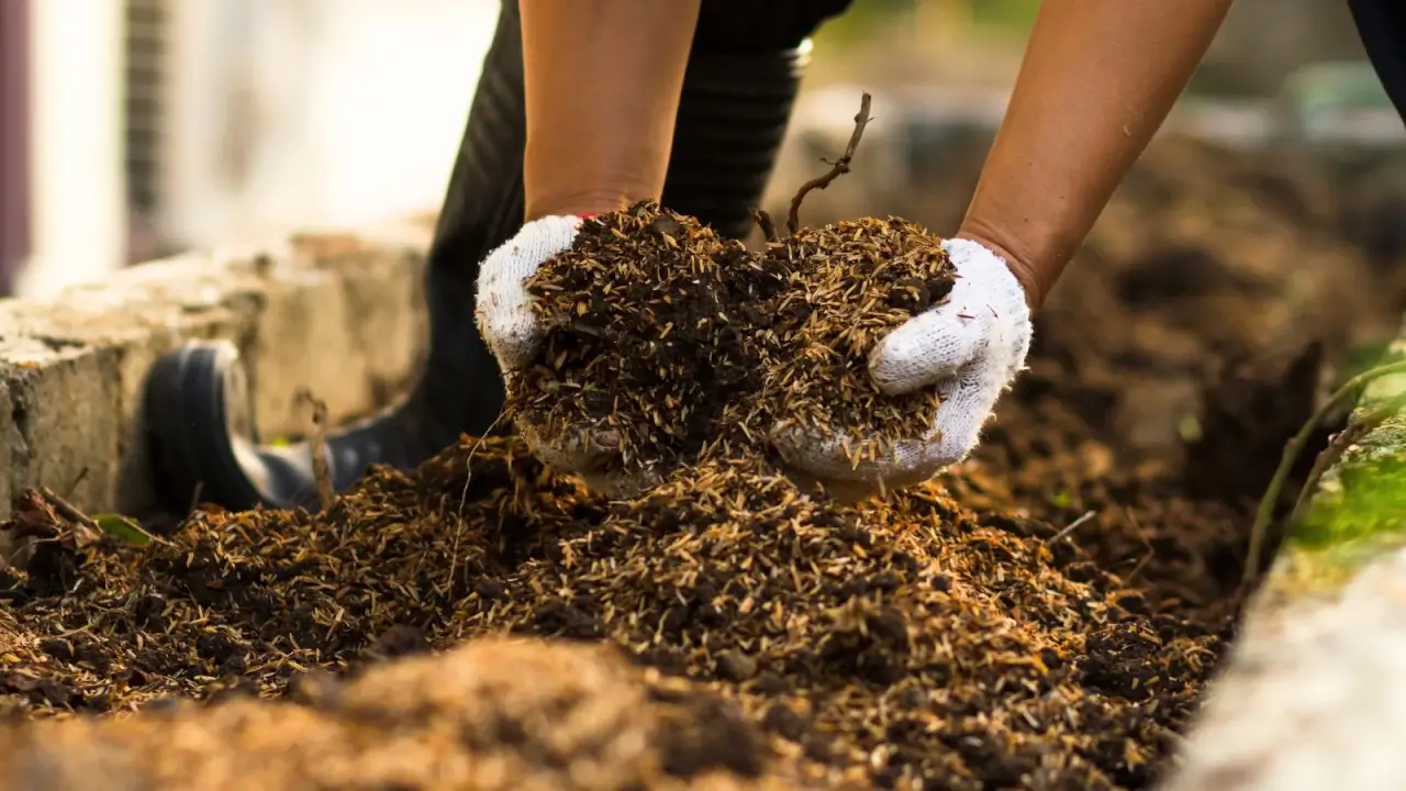 5 Practices to Implement Now