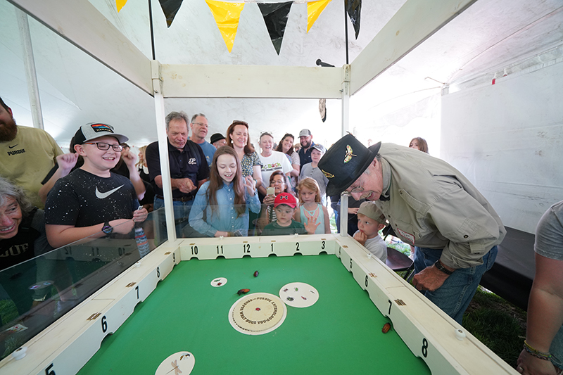 Experience the magic of spring at this year’s Spring Fest