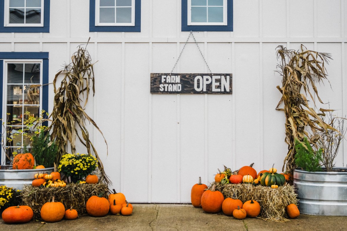 In Oregon, How Much Agritourism Is Too Much?