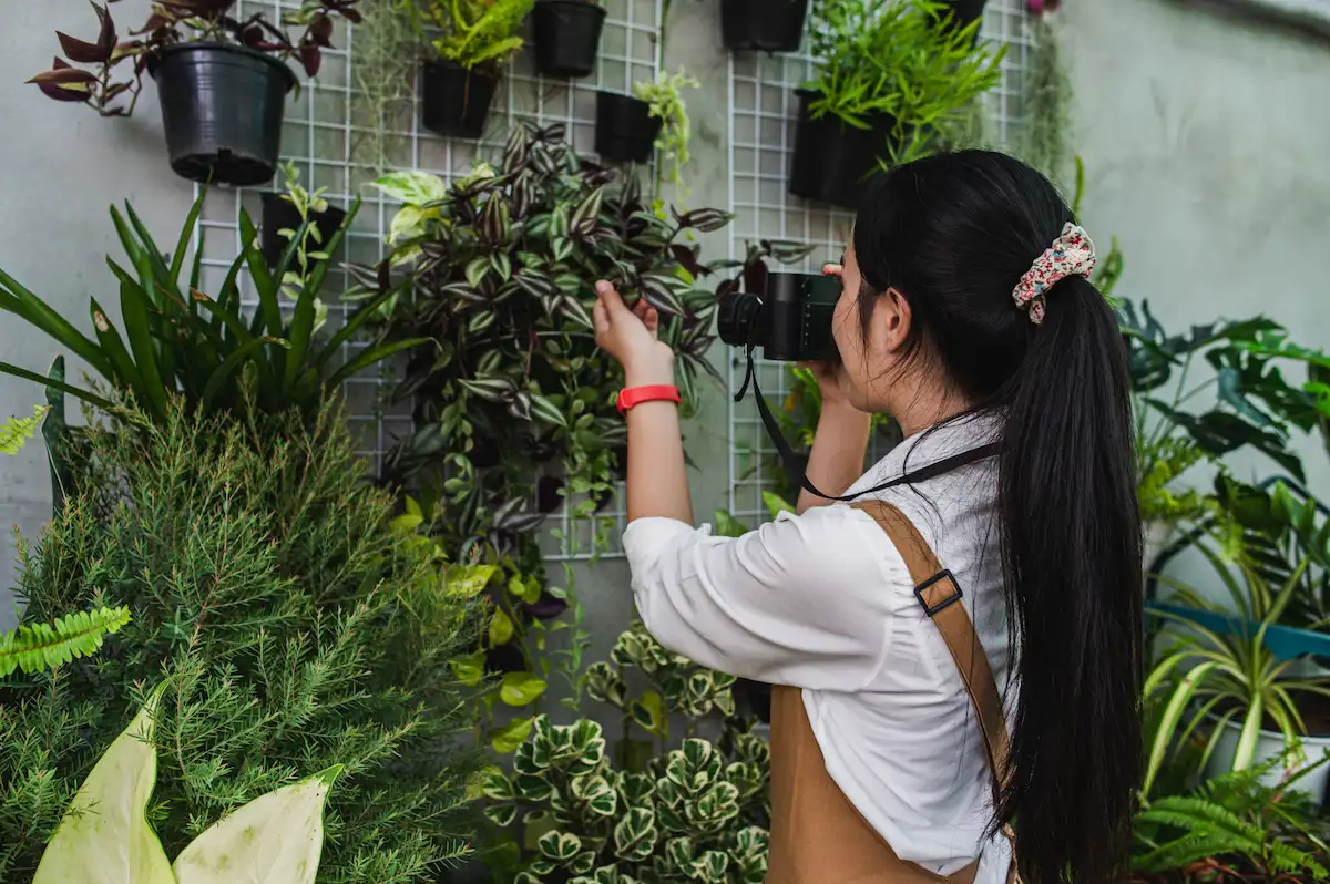 Urban Vertical Gardening in India: Green Walls, Clean Air