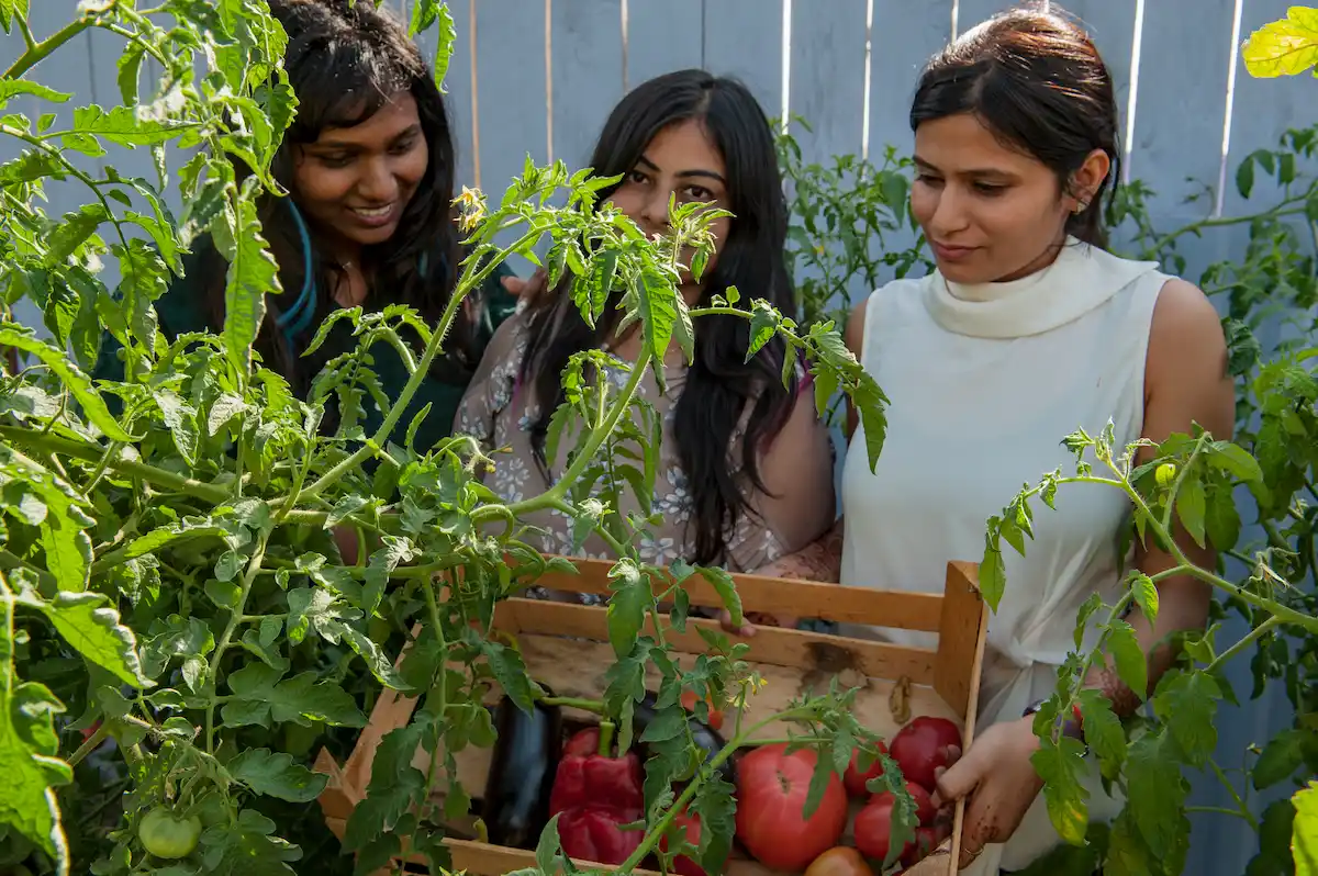 Companion Plants in India: Best Pairings for Home & Kitchen Gardens, Charts and Calendar Included