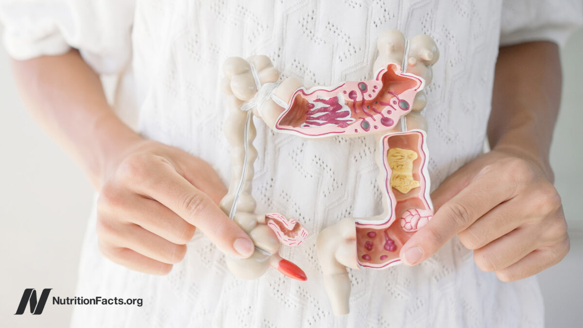 Which Foods Help a Leaky Gut?