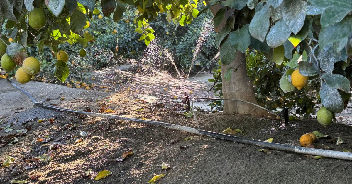 Microirrigation School, starting March 30, offers guidance on maximizing water use efficiency and productivity