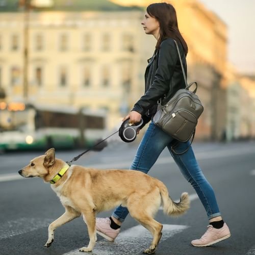 Is This Pet Grooming Tool Worth It?